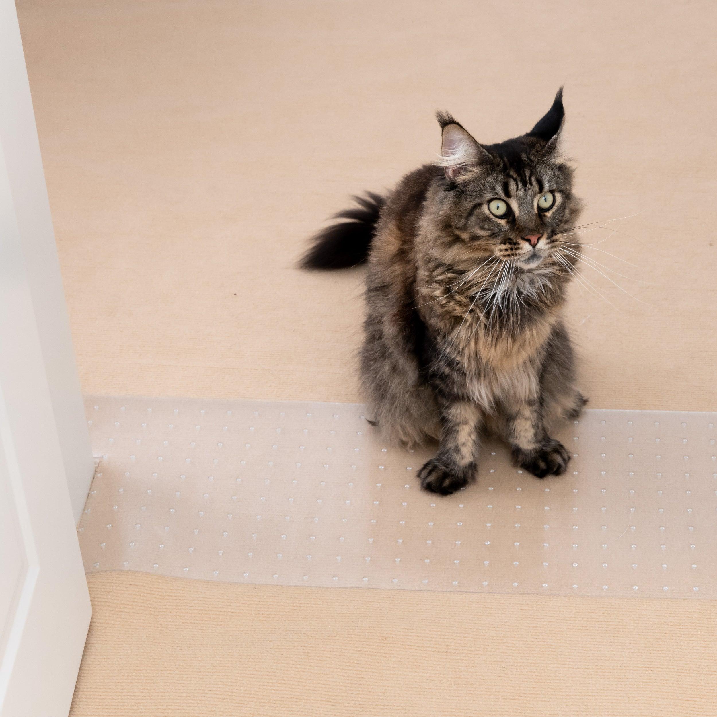 Cat claw proof carpet sale