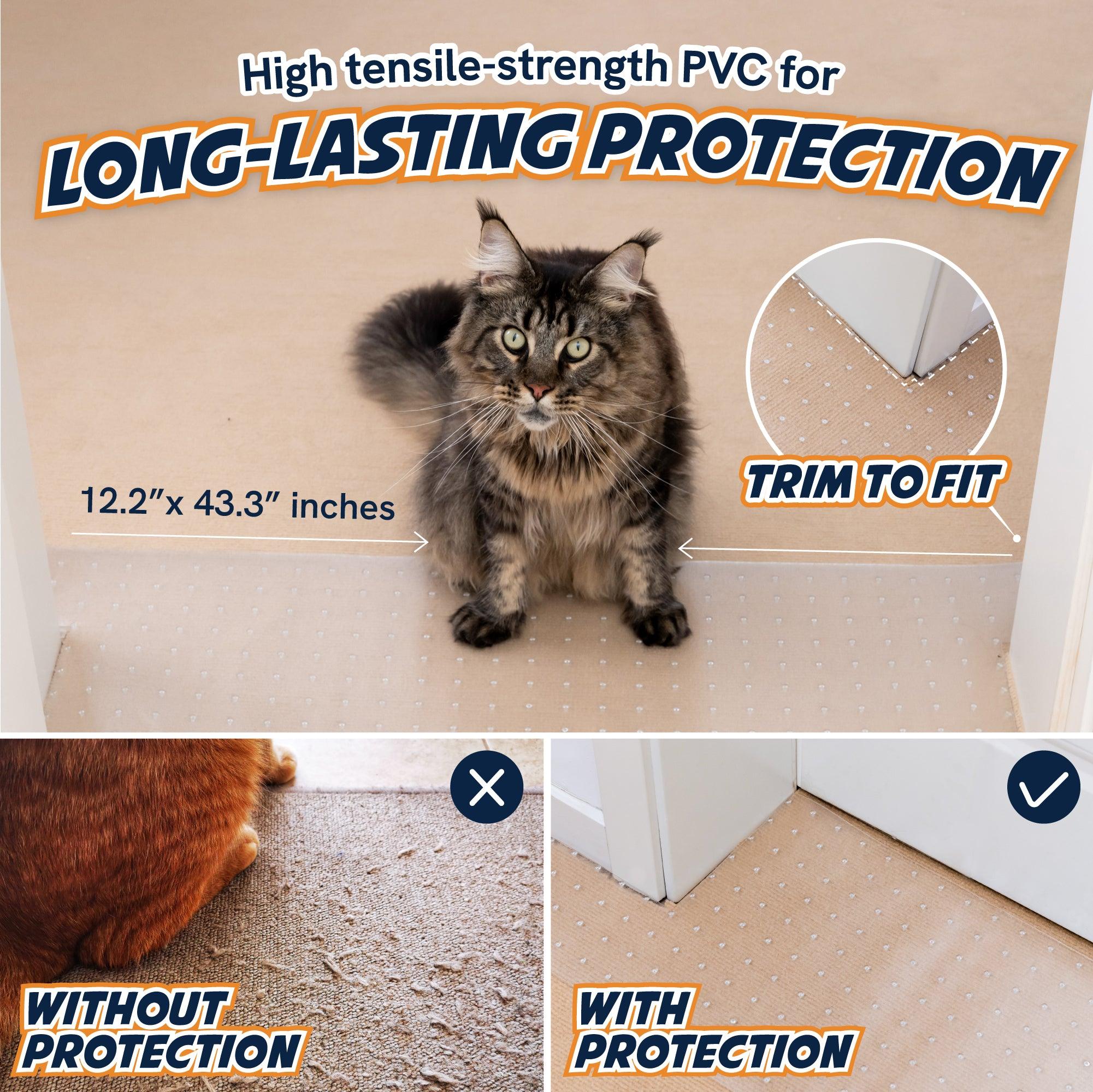 Protect doors hotsell from cat scratches