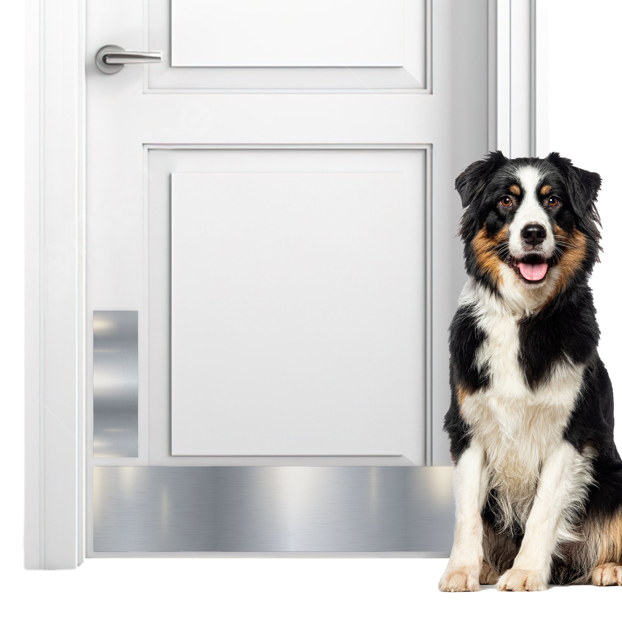 Stainless Steel Scratch Guard for Doors [Silver] Panther Armor